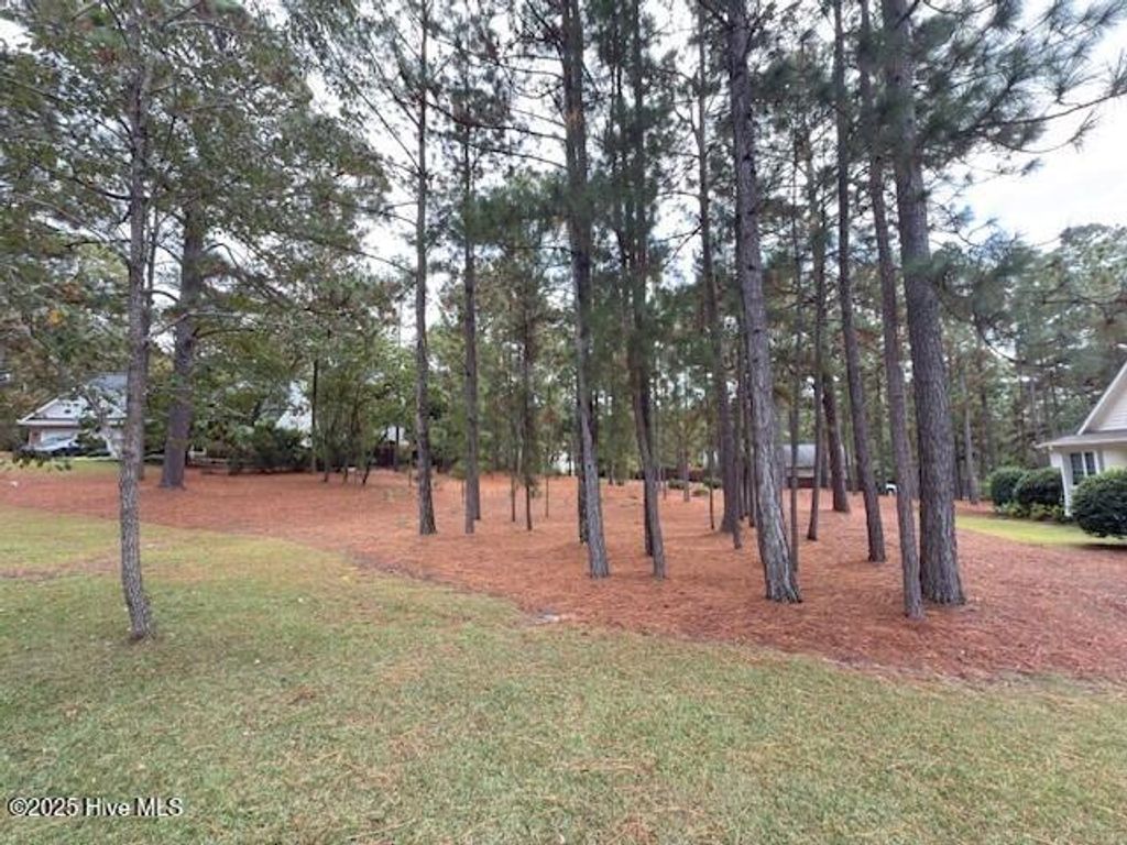 Photo of 6 Georgia Court, Pinehurst, NC 28374 (MLS # 100535733)
