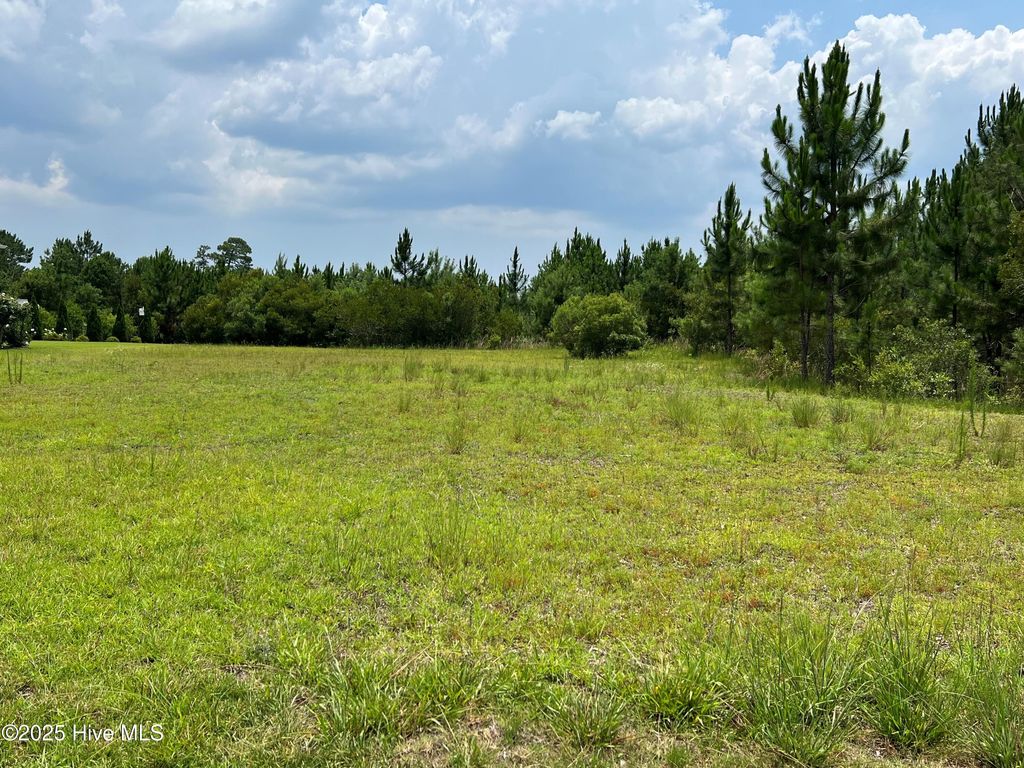 Photo of 8388 S Shoreside Way NE, Leland, NC 28451 (MLS # 100515583)