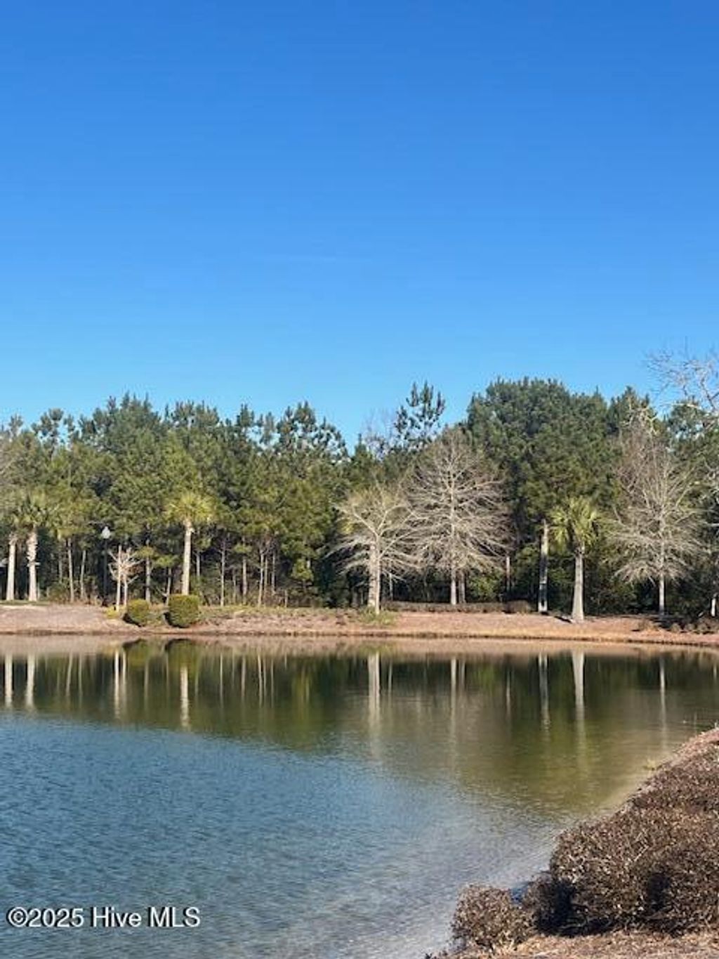 Photo of 3057 Brackenbury Street SW, Shallotte, NC 28470 (MLS # 100486441)