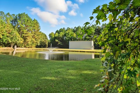 Tiny photo for 6079 Bell Williams Road, Currie, NC 28435 (MLS # 100534594)