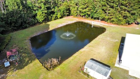 Tiny photo for 6079 Bell Williams Road, Currie, NC 28435 (MLS # 100534594)