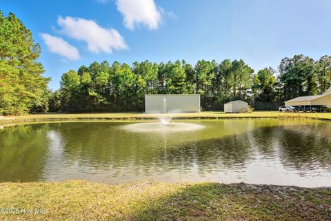 Tiny photo for 6079 Bell Williams Road, Currie, NC 28435 (MLS # 100534594)