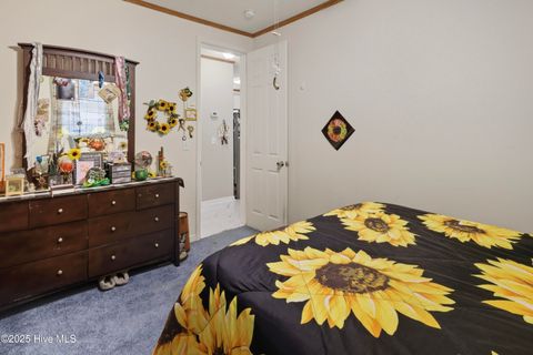 Tiny photo for 6079 Bell Williams Road, Currie, NC 28435 (MLS # 100534594)
