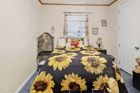 Tiny photo for 6079 Bell Williams Road, Currie, NC 28435 (MLS # 100534594)