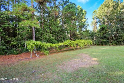 Tiny photo for 6079 Bell Williams Road, Currie, NC 28435 (MLS # 100534594)