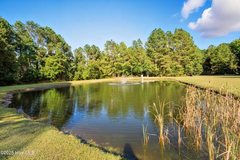 Tiny photo for 6079 Bell Williams Road, Currie, NC 28435 (MLS # 100534594)