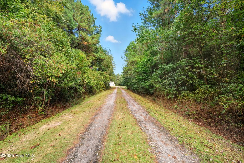Photo of 6079 Bell Williams Road, Currie, NC 28435 (MLS # 100534594)