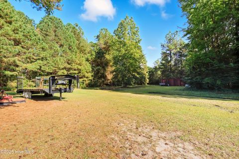 Tiny photo for 6079 Bell Williams Road, Currie, NC 28435 (MLS # 100534594)