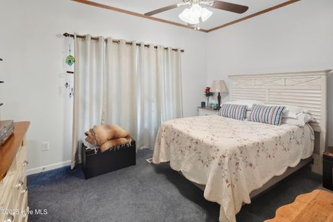 Tiny photo for 6079 Bell Williams Road, Currie, NC 28435 (MLS # 100534594)