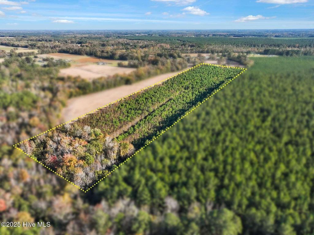 Photo of 4253 Joe Brown Highway N, Whiteville, NC 28472 (MLS # 100543155)