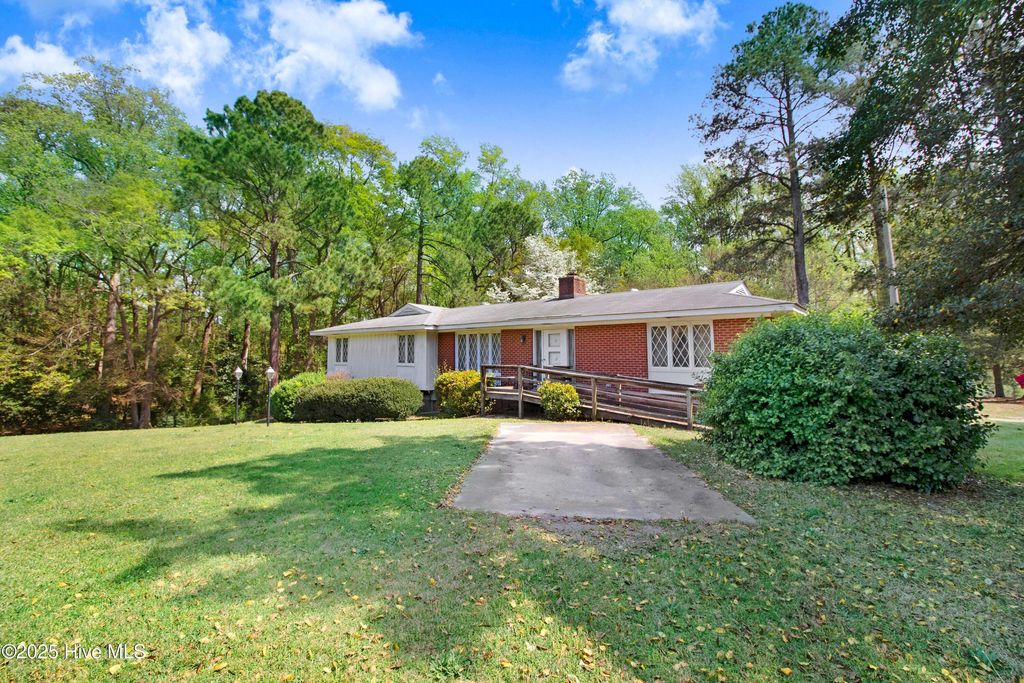 Photo of 413 Perkins Mill Road, Goldsboro, NC 27530 (MLS # 100500749)