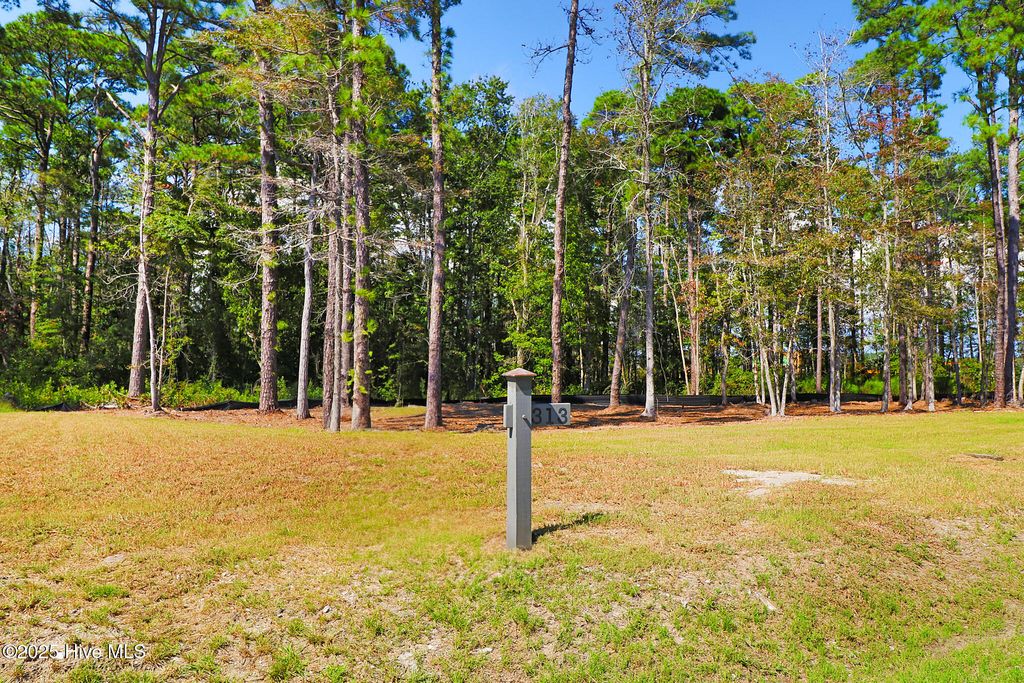 Photo of 479 Freedom Park Road, Beaufort, NC 28516 (MLS # 100536225)