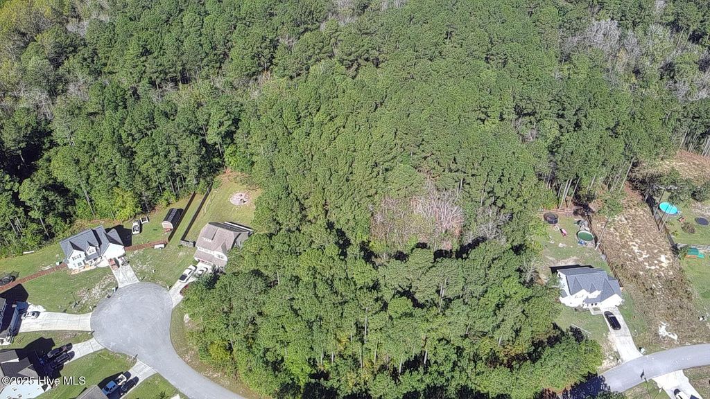Photo of 144 Saint Road, Richlands, NC 28574 (MLS # 100537225)