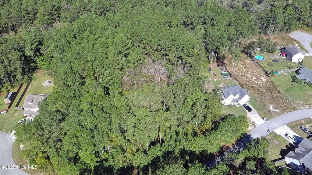 Photo of 144 Saint Road, Richlands, NC 28574 (MLS # 100537225)
