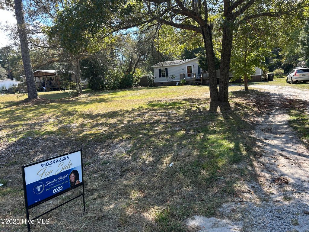 Photo of 3529 Blue Banks Loop Road NE, Leland, NC 28451 (MLS # 100533722)