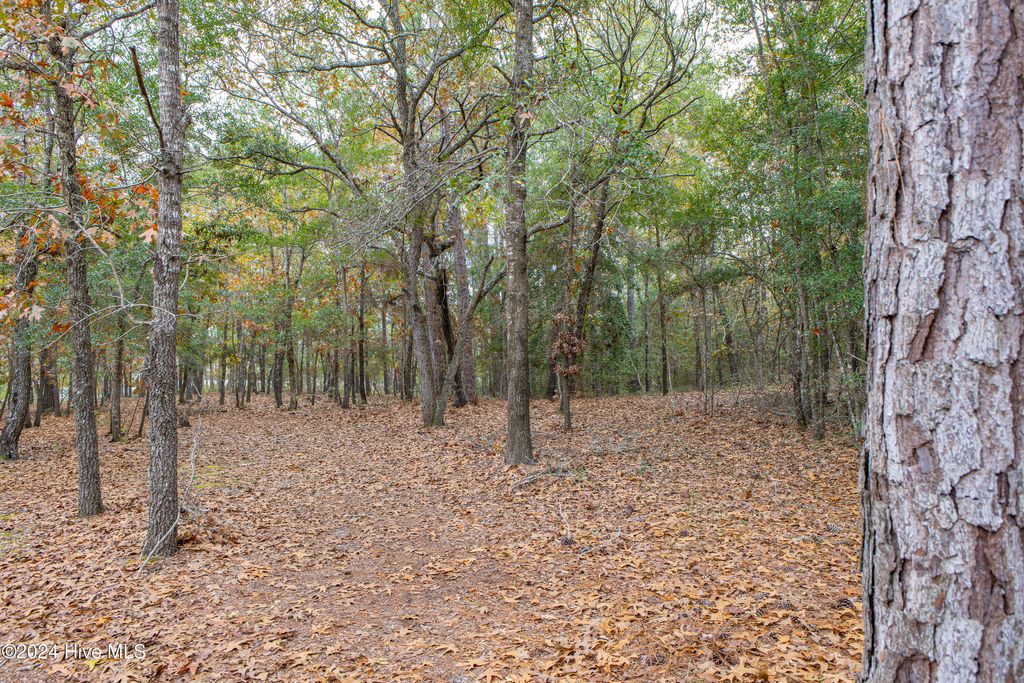 Photo of 2 Log Landing Road, Shallotte, NC 28470 (MLS # 100478478)