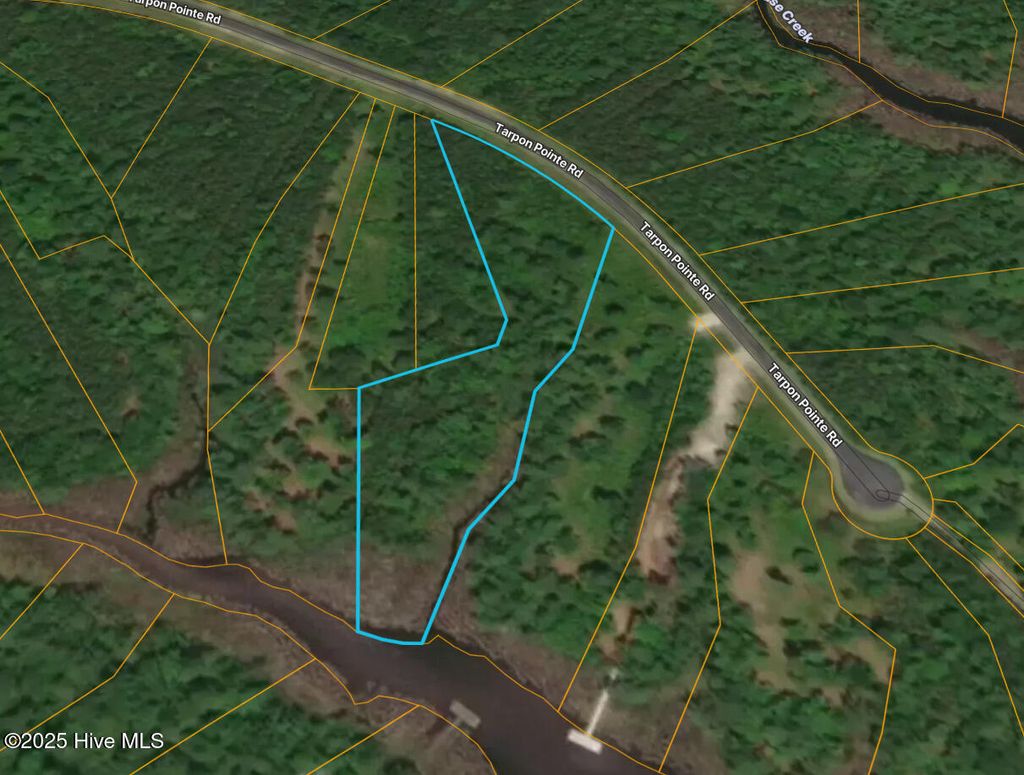 Photo of 00 Tarpon Pointe Road, Bath, NC 27808 (MLS # 100538353)