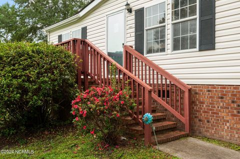 A home in Havelock