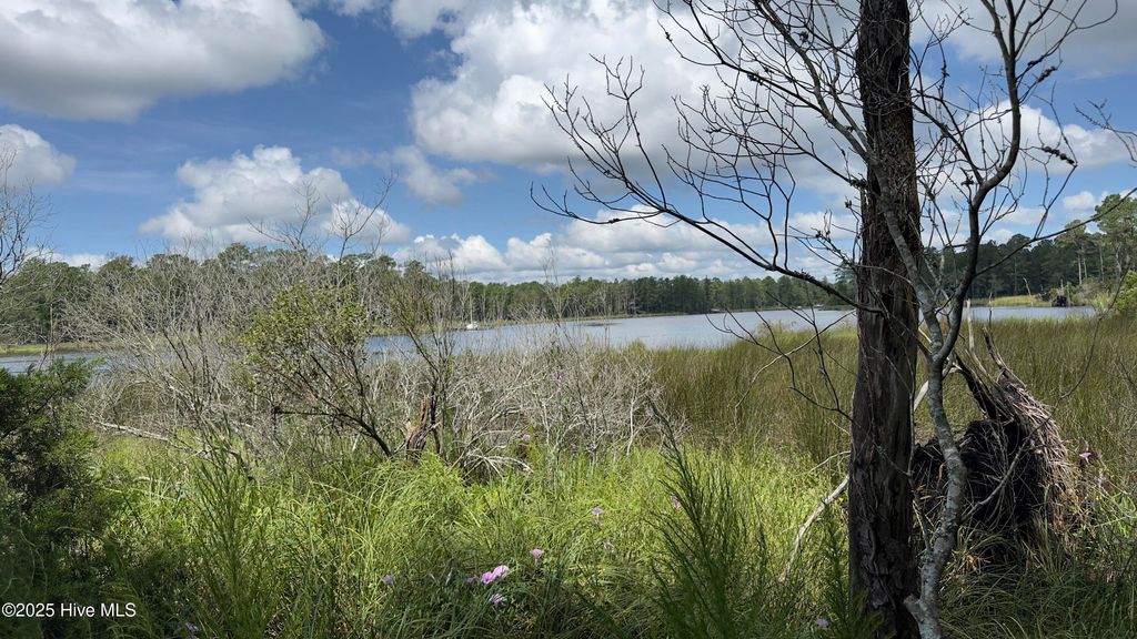 Photo of 73 Bailey Pointe, Belhaven, NC 27810 (MLS # 100525334)