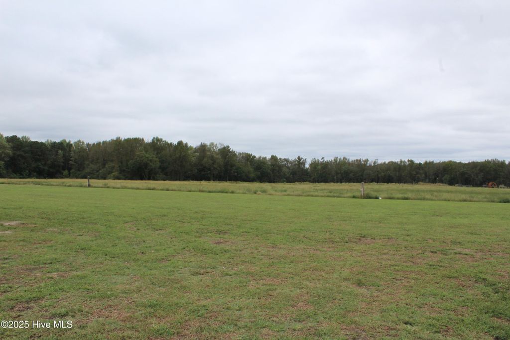 Photo of 1764 Sarecta Road, Beulaville, NC 28518 (MLS # 100536104)