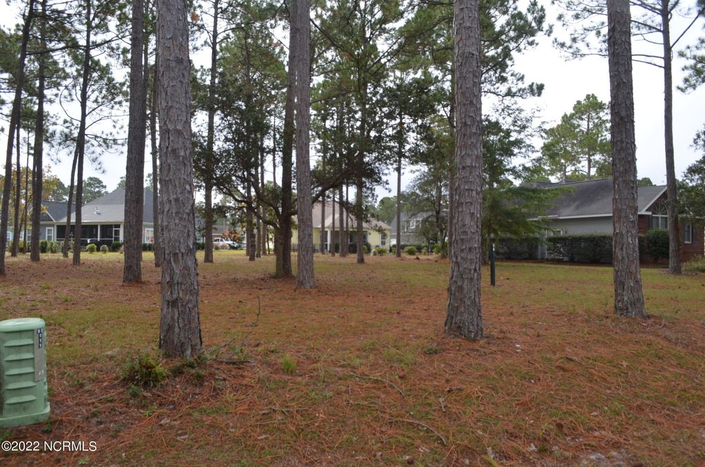 Photo of 305 Planters Ridge Drive SW, Sunset Beach, NC 28468 (MLS # 100509028)