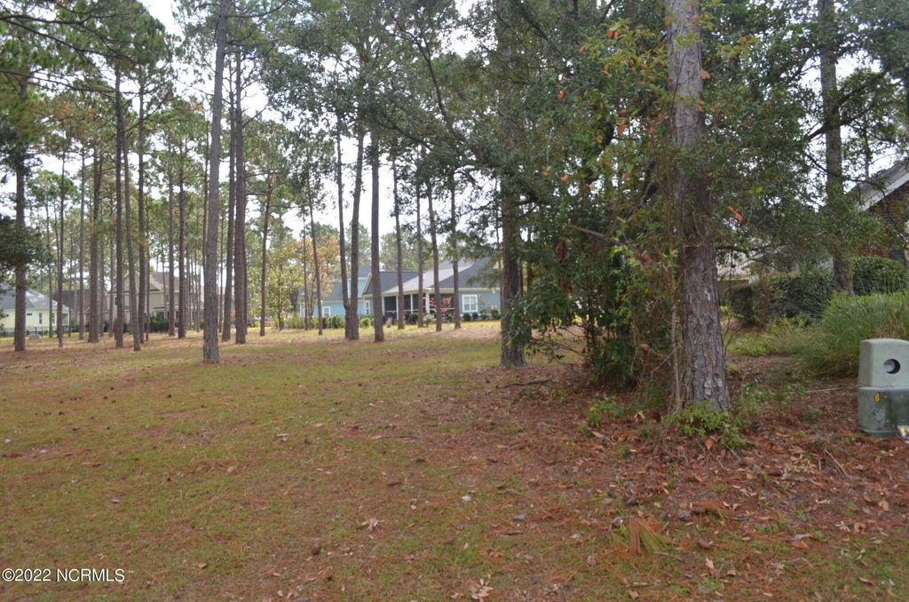 Photo of 305 Planters Ridge Drive SW, Sunset Beach, NC 28468 (MLS # 100509028)