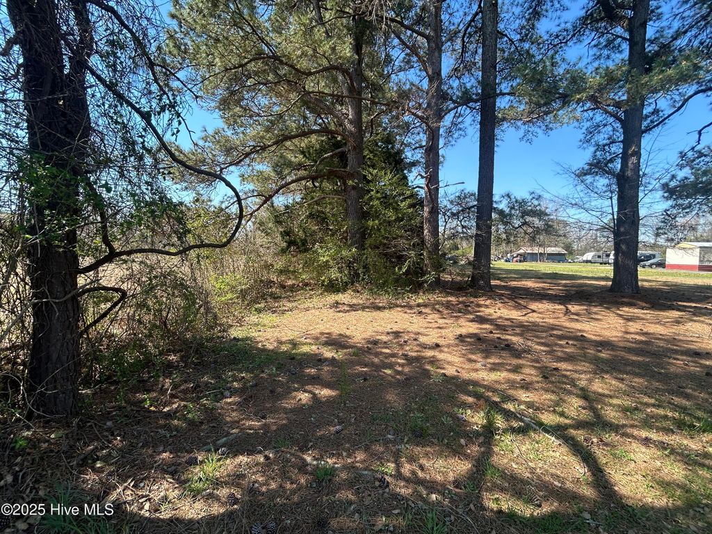 Photo of 3 Us Hwy 117 N, Watha, NC 28478 (MLS # 100498391)