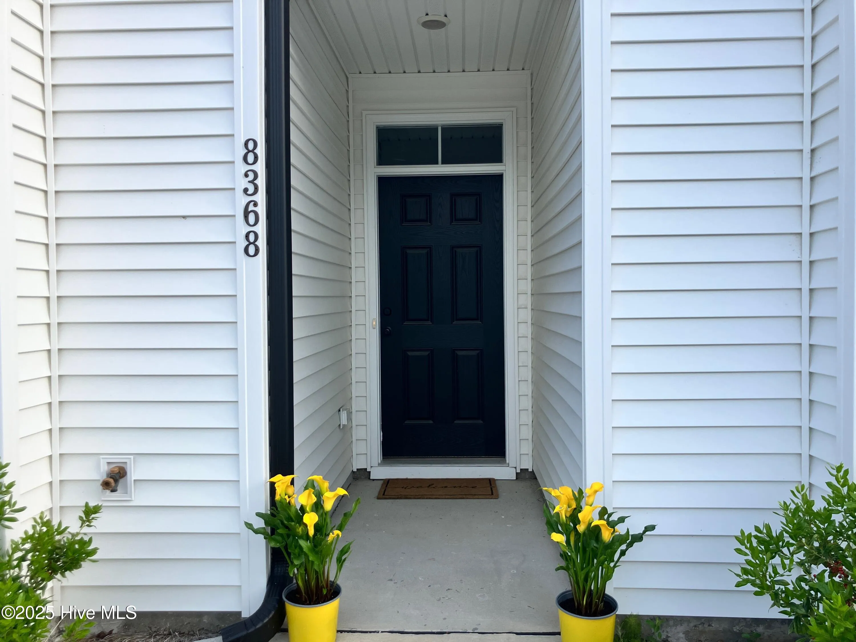 Leland, North Carolina 28479, United States, 3 Bedrooms Bedrooms, ,3 BathroomsBathrooms,Residential,Active,116596