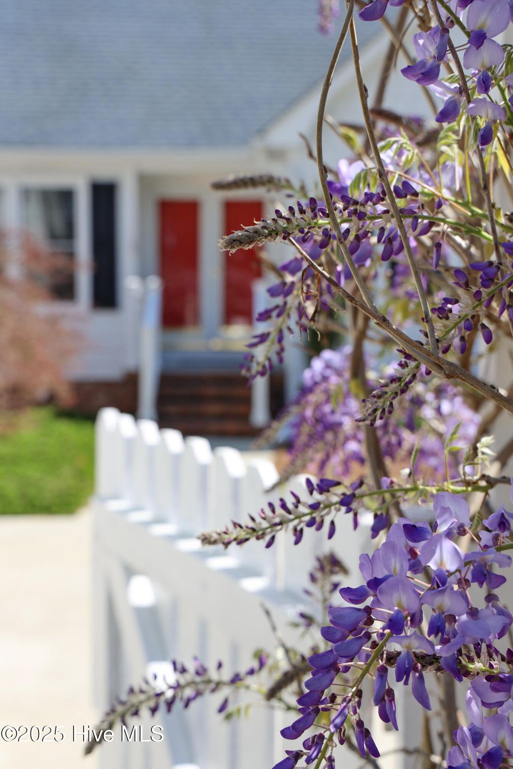 listing image 127