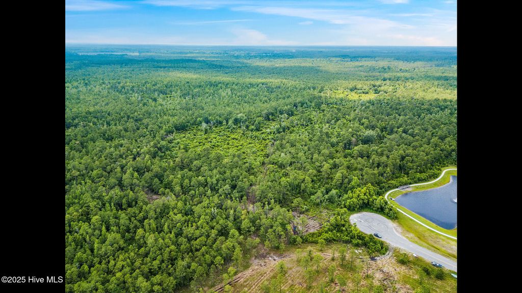 Photo of 361362 Greenview Ranches, Wilmington, NC 28411 (MLS # 100508441)