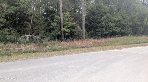 Tiny photo for 498 Redwood Drive, Southport, NC 28461 (MLS # 100536337)