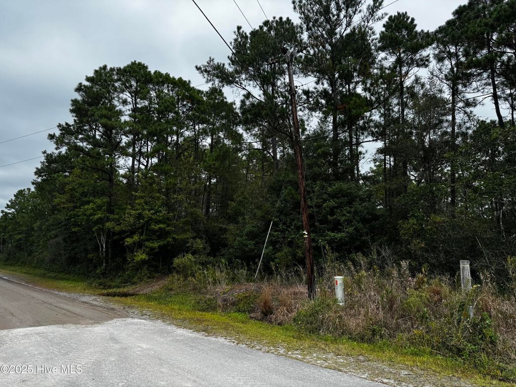 Photo of 498 Redwood Drive, Southport, NC 28461 (MLS # 100536337)