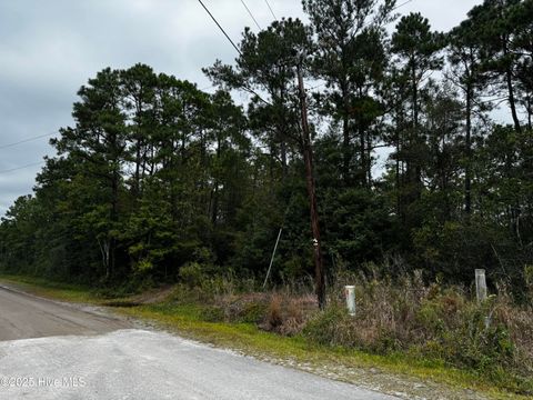 Photo of 498 Redwood Drive, Southport, NC 28461 (MLS # 100536337)
