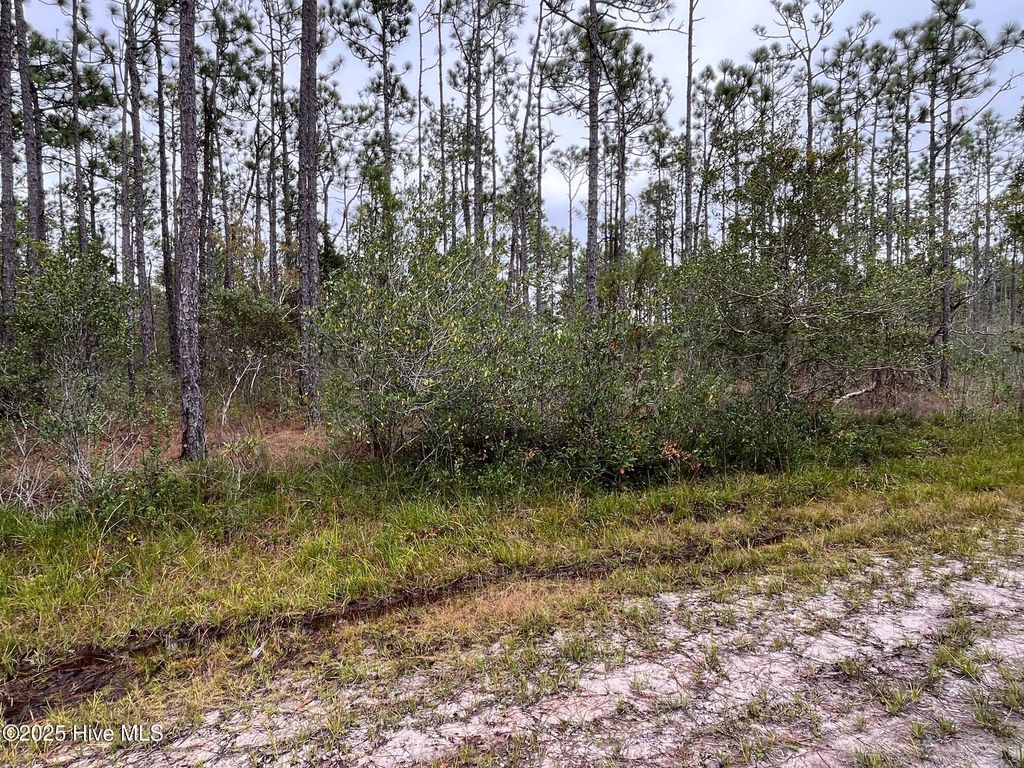 Photo of 349 Magnolia Road, Southport, NC 28461 (MLS # 100542154)