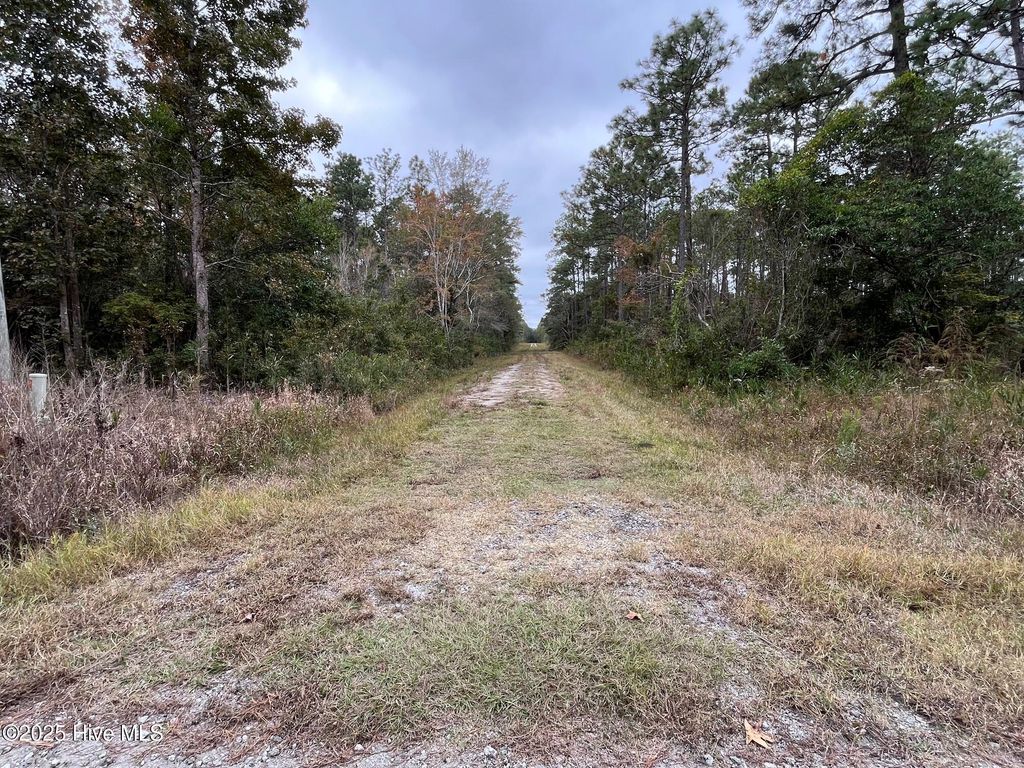 Photo of 349 Magnolia Road, Southport, NC 28461 (MLS # 100542154)