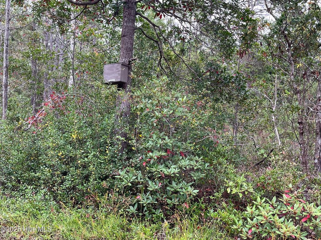 Photo of 349 Magnolia Road, Southport, NC 28461 (MLS # 100542154)