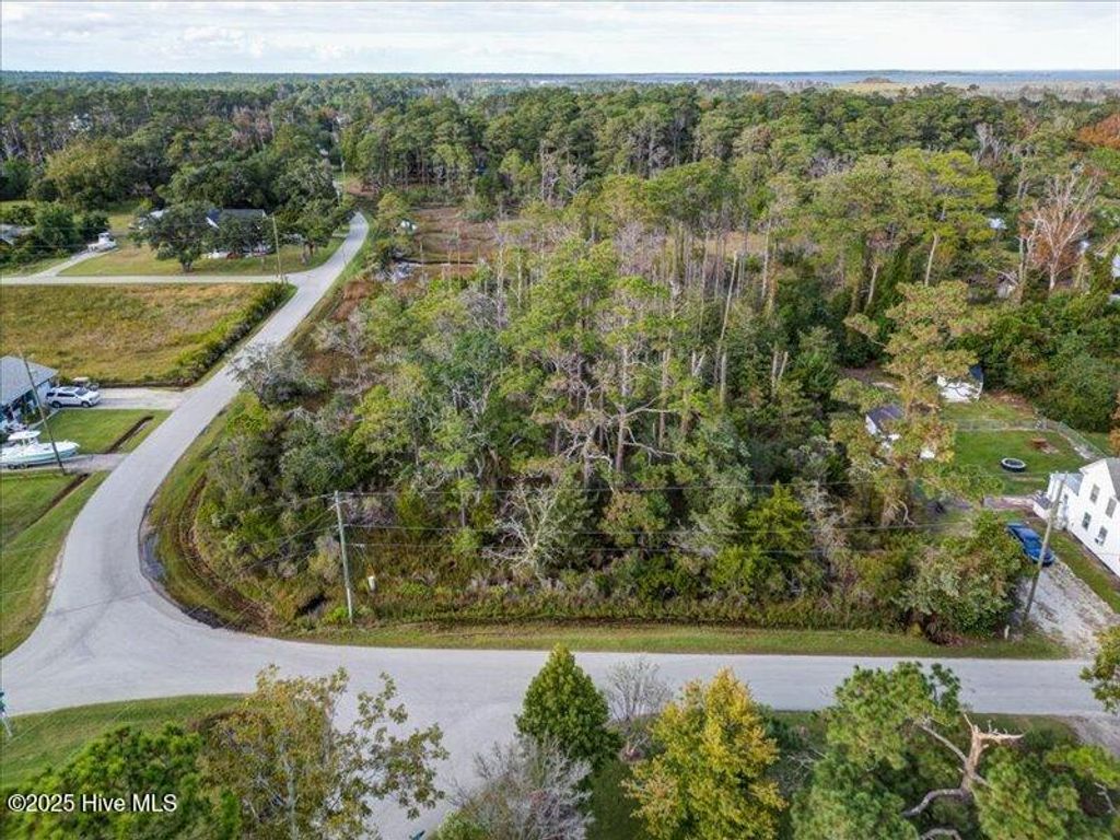 Photo of 247 Polly Hill Road, Marshallberg, NC 28553 (MLS # 100535979)