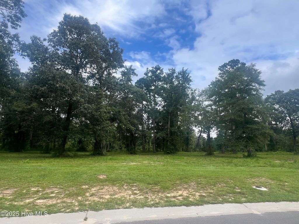 Photo of 3801 River Park Way NE, Leland, NC 28451 (MLS # 100358684)