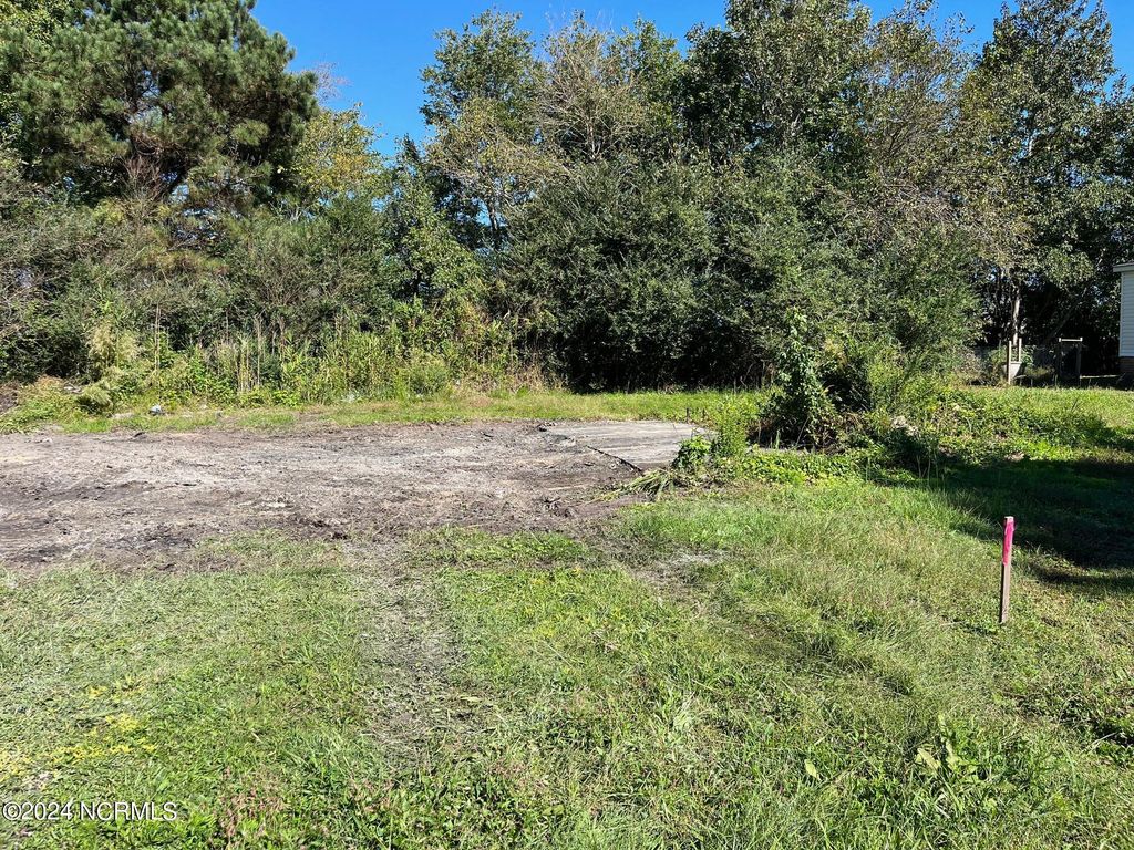 Photo of 1333 Millpond Road, Elizabeth City, NC 27909 (MLS # 100472035)