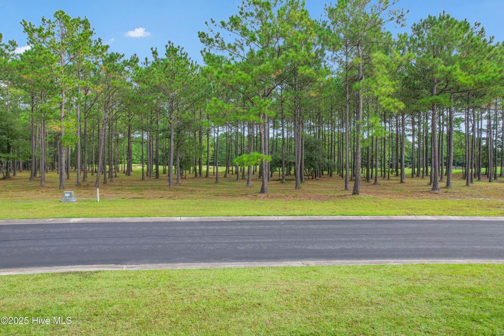 Photo of 6544 Stonley Circle SW, Ocean Isle Beach, NC 28469 (MLS # 100529724)