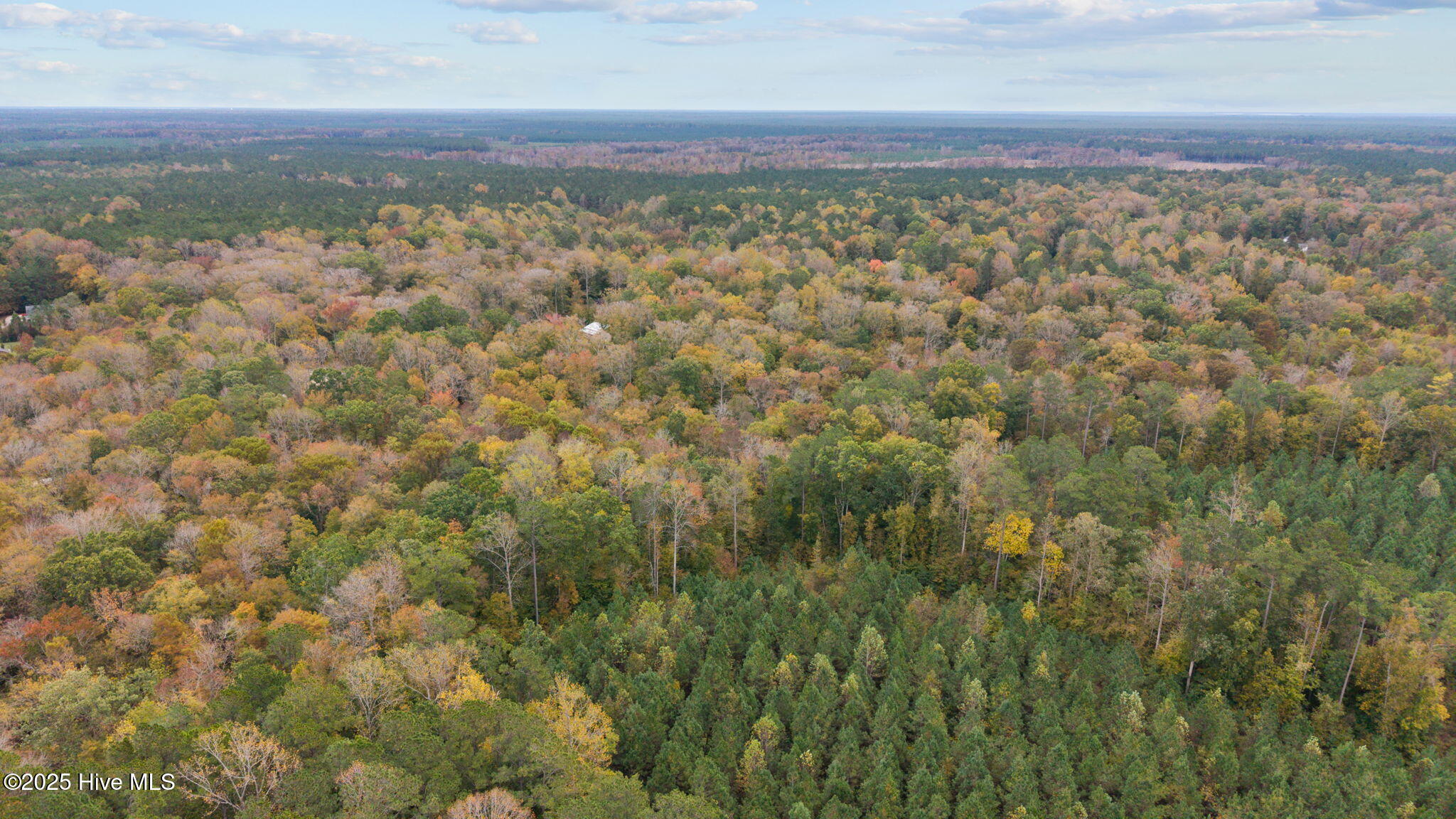 164 Forest Glen Lane