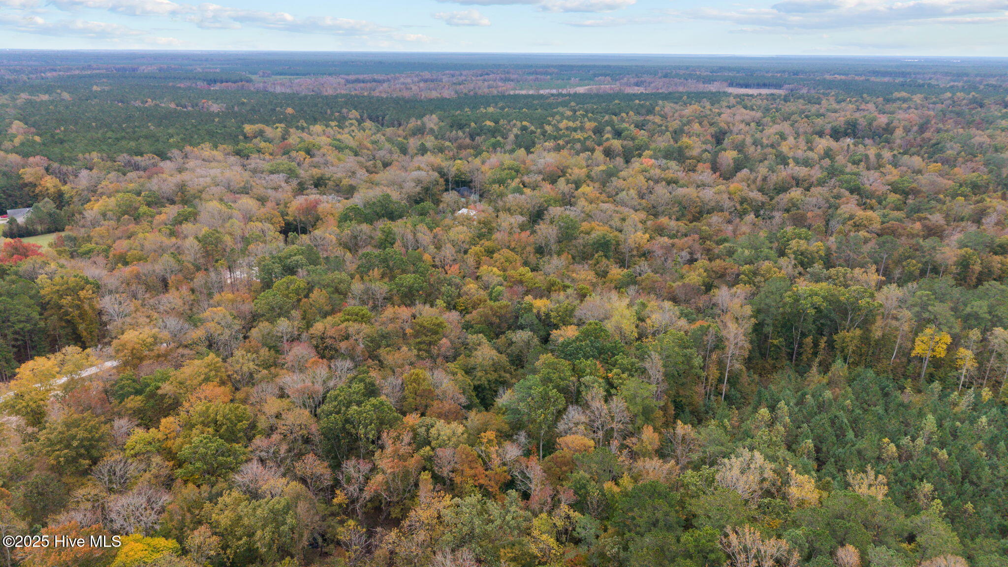 164 Forest Glen Lane