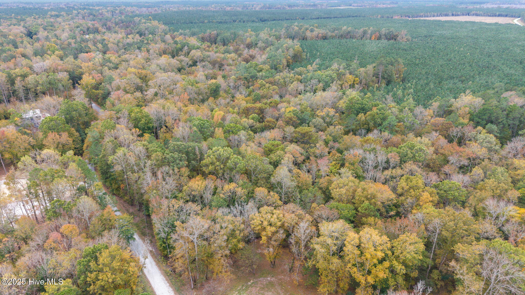 164 Forest Glen Lane