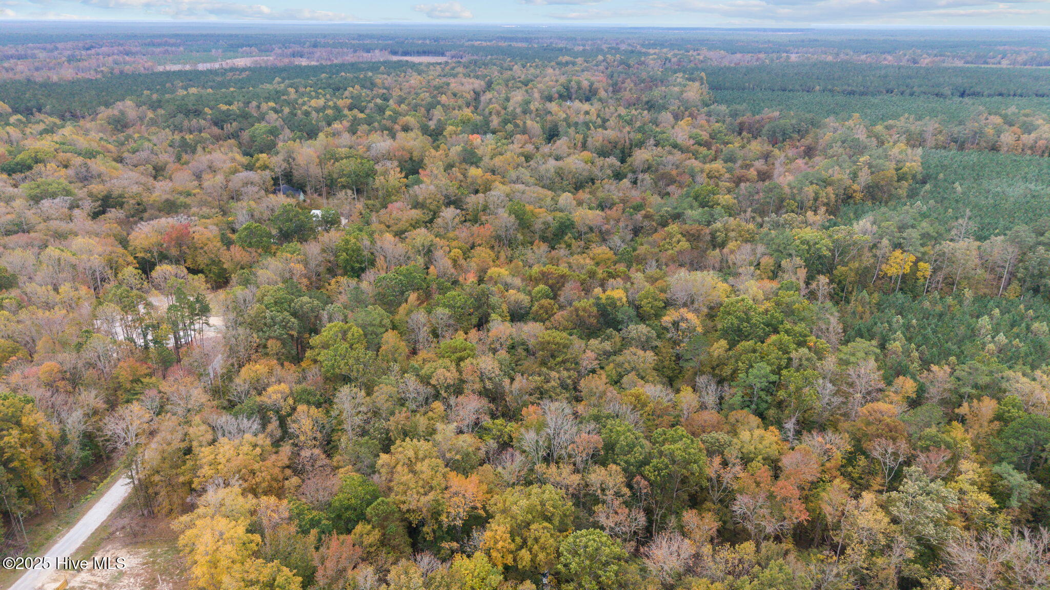 164 Forest Glen Lane