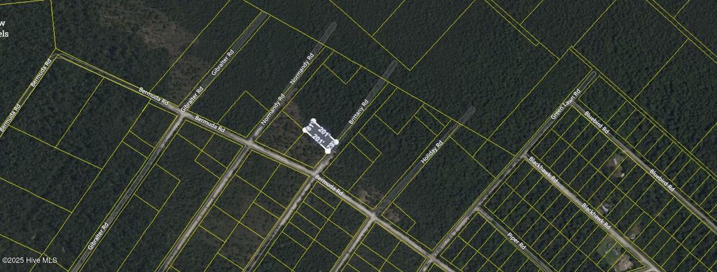 Photo of 821 Brittany Road, Southport, NC 28461 (MLS # 100535930)