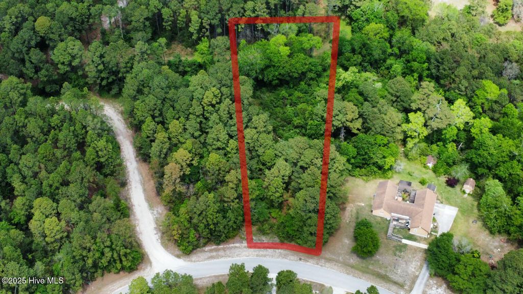 Photo of 294 Barrington Ridge, Bogue, NC 28570 (MLS # 100523203)