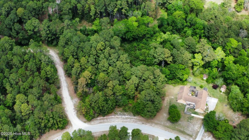 Photo of 294 Barrington Ridge, Bogue, NC 28570 (MLS # 100523203)