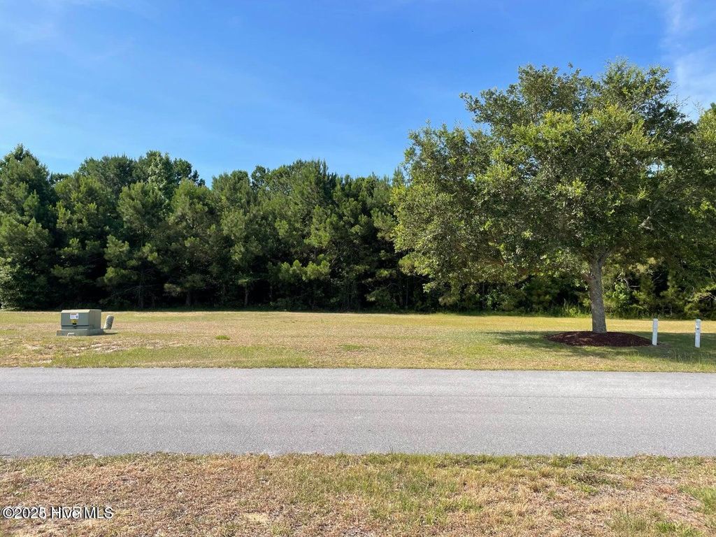 Photo of 107 Ellery Street, Newport, NC 28570 (MLS # 100499427)