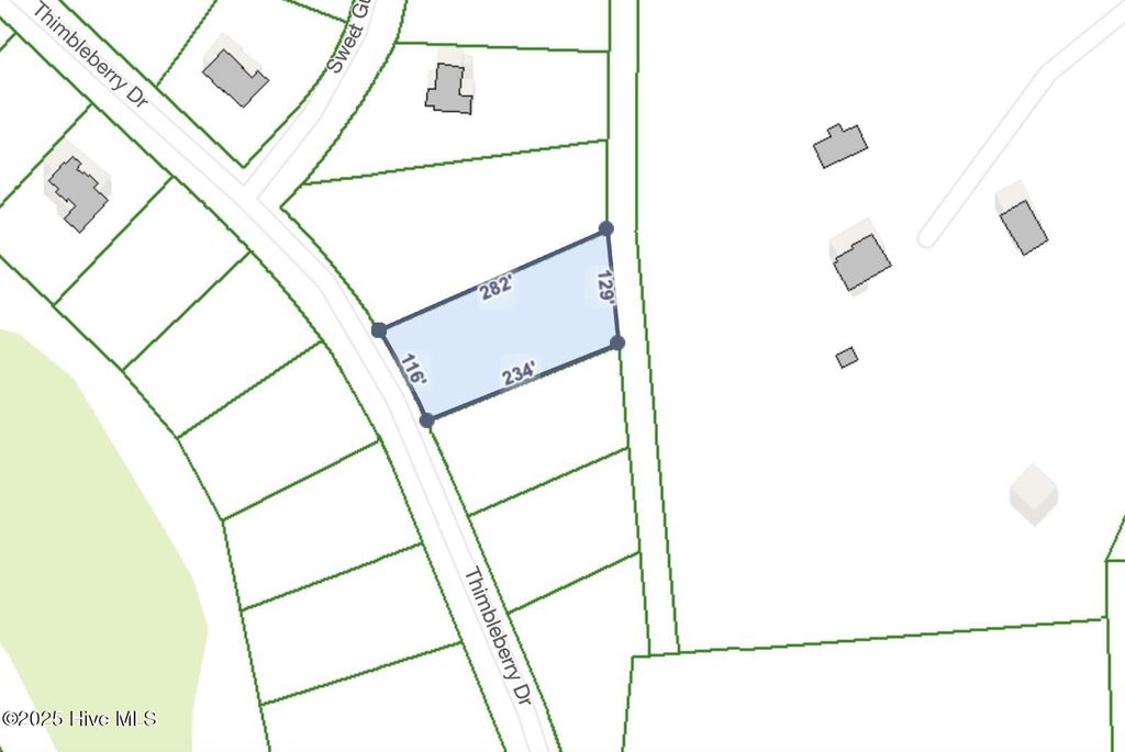 Photo of 440 Thimbleberry Drive, Vass, NC 28394 (MLS # 100484919)