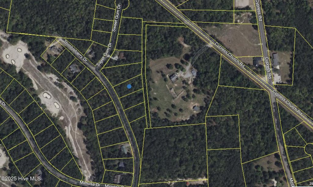 Photo of 440 Thimbleberry Drive, Vass, NC 28394 (MLS # 100484919)